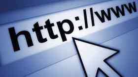 The choices and dilemmas of local council websites