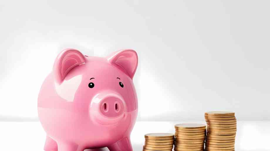 Piggy bank