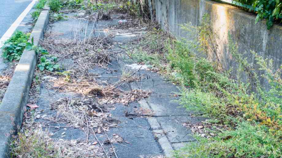 Public pavement overgrown with weeds. Public pavement overgrown with weeds.