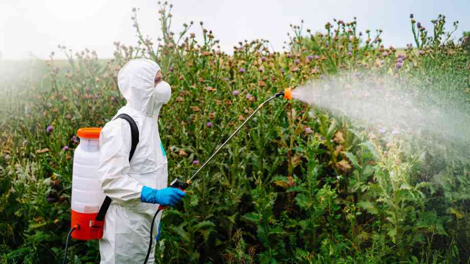 glyphosate