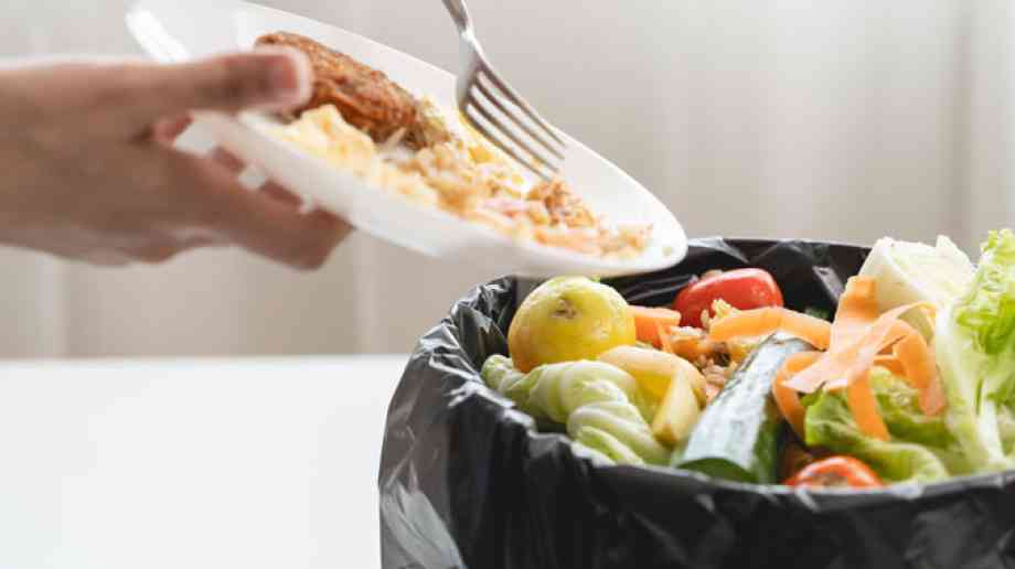 Food waste bin Food waste bin