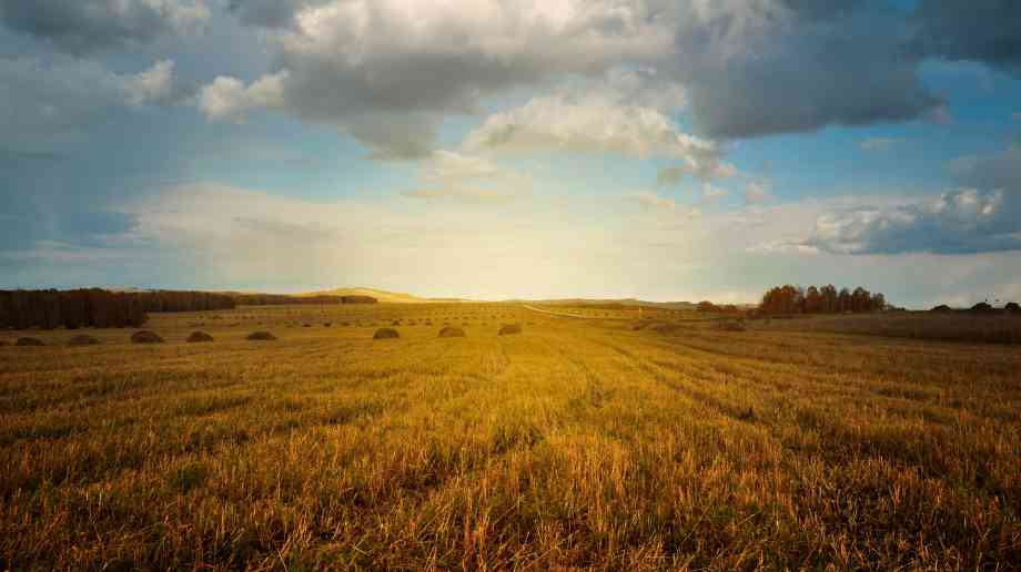 £1.7 million for farming groups to boost environment