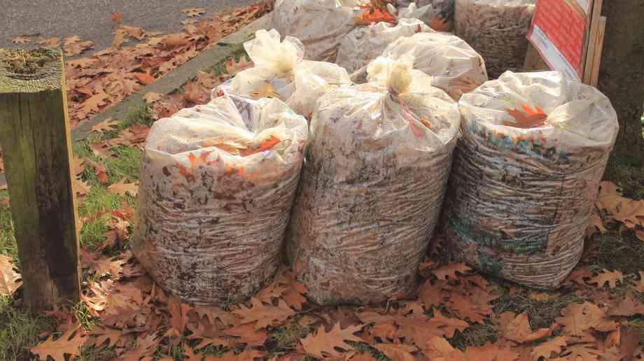 Councils charging £74 million for garden waste collection
