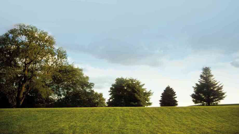 Bringing home the benefits of community greenspace