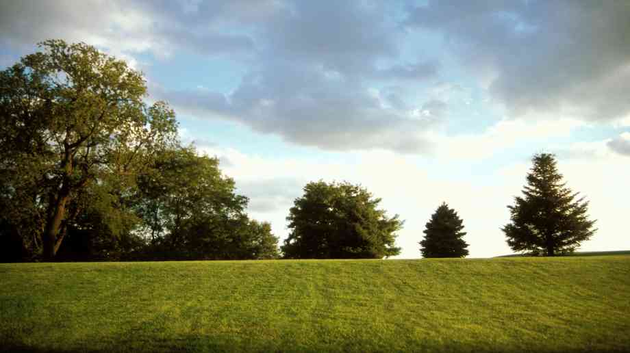 Winchester invests £100,000 in open space for residents in Abbots Barton