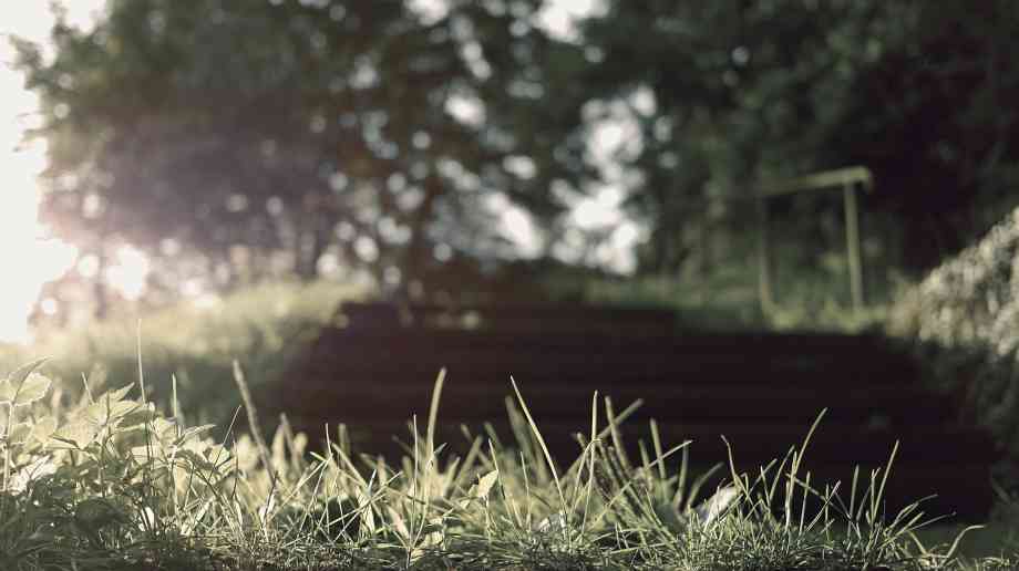 Bristol City Council launches parks consultation