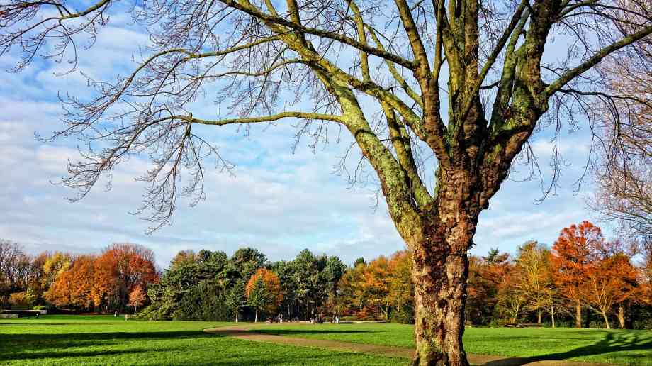 Councils should unlock £7 billion of local assets
