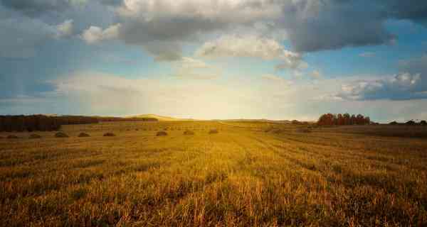 Political change: An environmental opportunity?