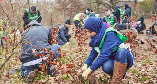 Trees – a vital link in urban stormwater management Trees – a vital link in urban stormwater management