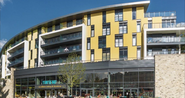Local authority direct delivery of housing Local authority direct delivery of housing
