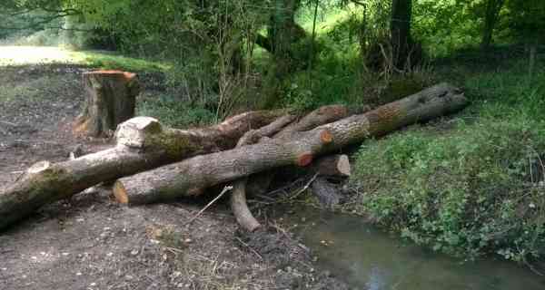 Natural flood management in the Stroud Valleys Natural flood management in the Stroud Valleys